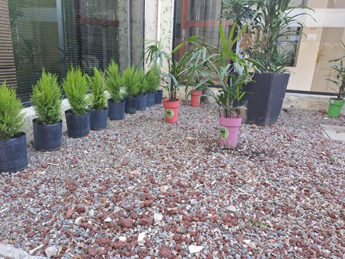 Mi Pueblo Nueva Palmira Exterior foto